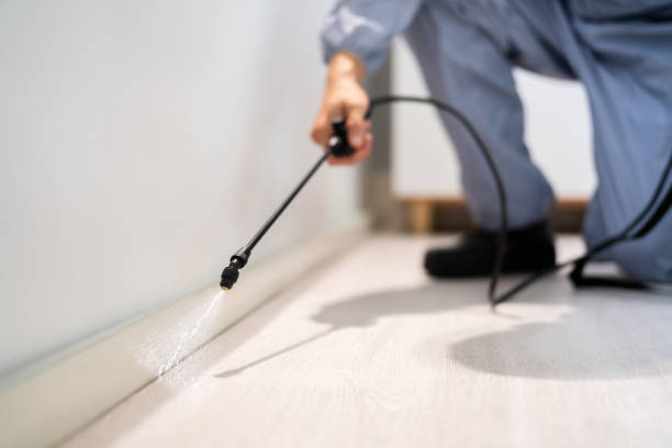 Licensed Termite Control service in Covington, GA - Nex Pest Control