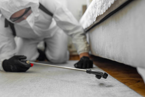 Professional Termite Control technician working in Covington, GA