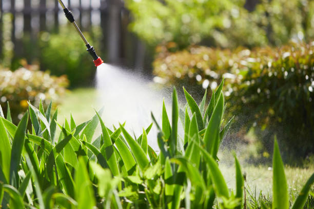 24/7 Emergency Termite Control experts in Covington, GA